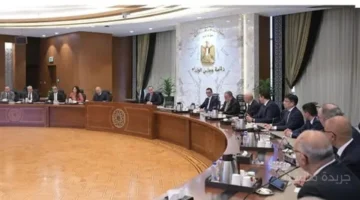 5 معلومات عن عقد إقامة مصنع لتجميع السيارات بين هيئة الموانئ ومجموعة منصور 1